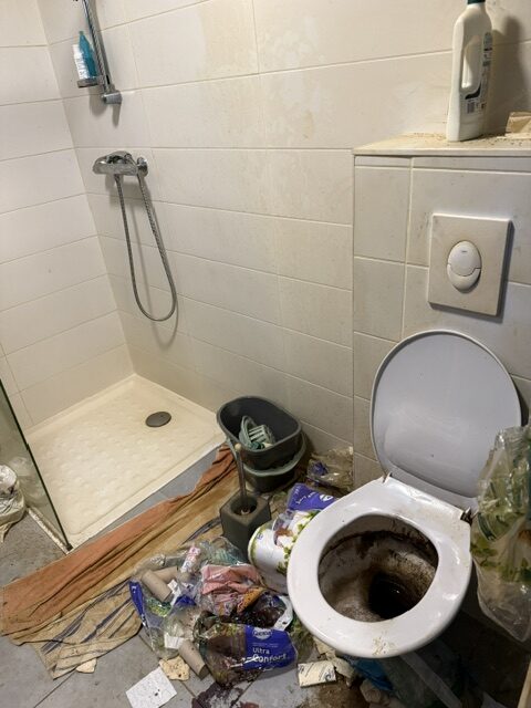 Comment choisir les bons produits pour désinfecter un squat Image4 Rotated